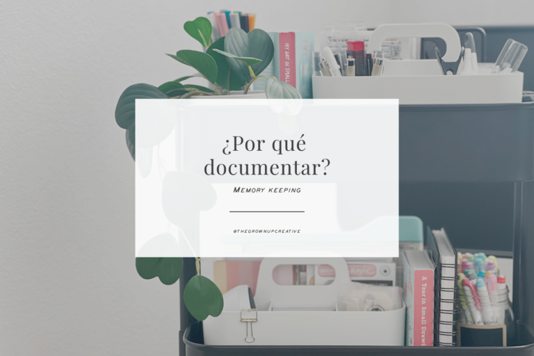 ¿Por qué documentar?